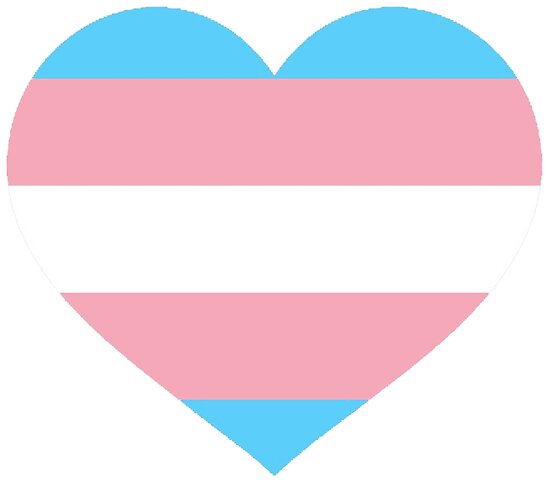 Trans Pride Flag Heart Posters By Katrinawaffles Redbubble