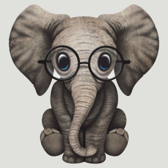 elephant with glasses shirt