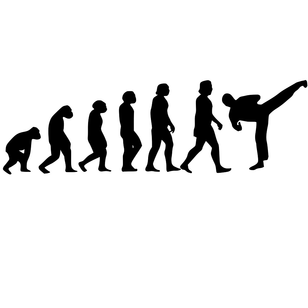 "Karate Kickboxing Evolution" by DesignArts Redbubble