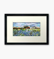 Texas Bluebonnets Framed Print