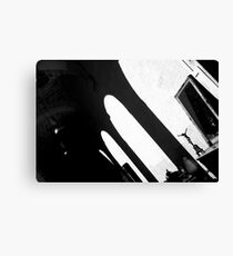spread Canvas Print