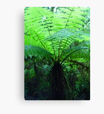 Forest Fronds Canvas Print