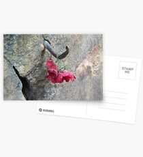 Rememberance @ Hell Fire Pass - Thailand Postcards