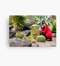 Trek I Canvas Print