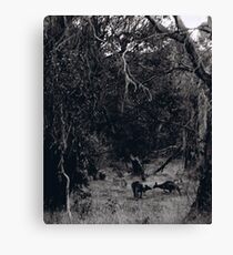 Kissing Canvas Print