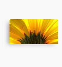 Flower Canvas Print