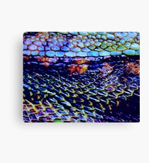 Dragon Scales Canvas Print