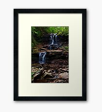 F.L. Ricketts Falls Framed Print