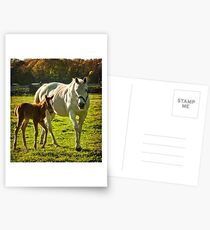 Bleh! Postcards