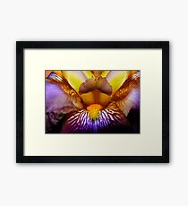 Inside An Iris Framed Print