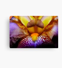 Inside An Iris Canvas Print