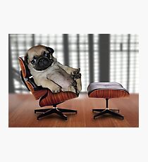 Top Dog Photographic Print