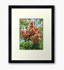 Flowers Framed Print