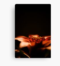 Flower Canvas Print