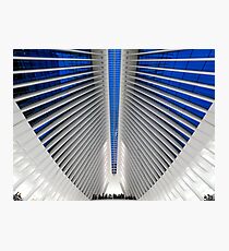 Lámina fotográfica Detalle del Hub de Transporte del World Trade Center, Oculus, por el arquitecto Santiago Calatrava | Nueva York, NY