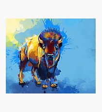 Lámina fotográfica En la llanura - Bison painting