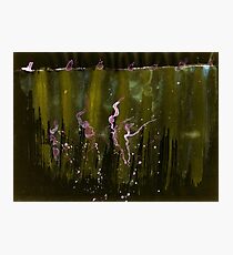 Katzen - 003 - The Hanging Dance Photographic Print