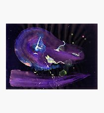 Katzen - 004 - Catmother Photographic Print