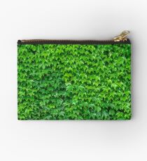 Beautiful Ivy Studio Pouch
