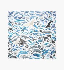 Untitled Scarf