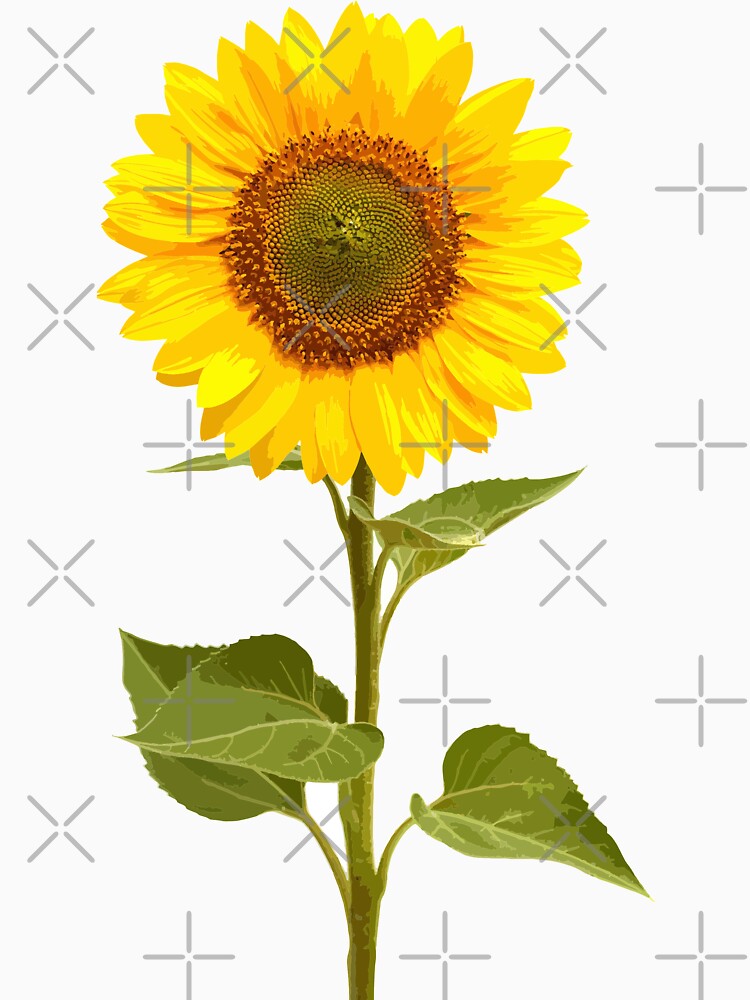 Sunflower Shirt Svg - Free Layered SVG Files - Download Sunflower Shirt