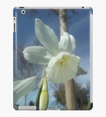 Photo of a Daffodil iPad Case/Skin