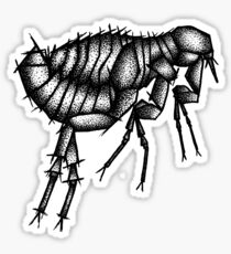 Pullex Irritans#2 Sticker