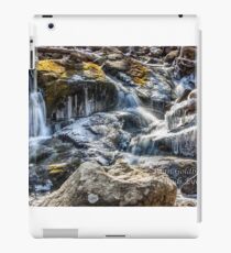 winter water iPad Case/Skin