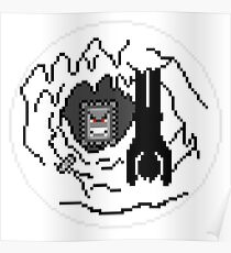 Thwompa Ice Cave Poster