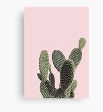 Prickly Cactus Canvas Print