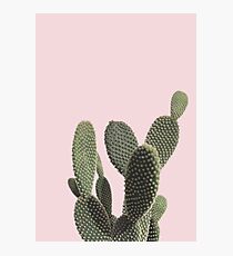 Prickly Cactus Photographic Print