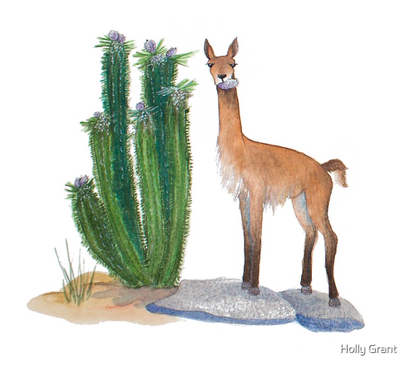 Guanaco Dibujo: Pegatinas | Redbubble