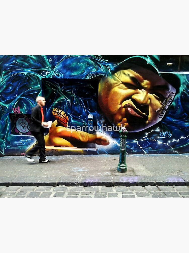 Hosier Lane Melbourne by sparrowhawk