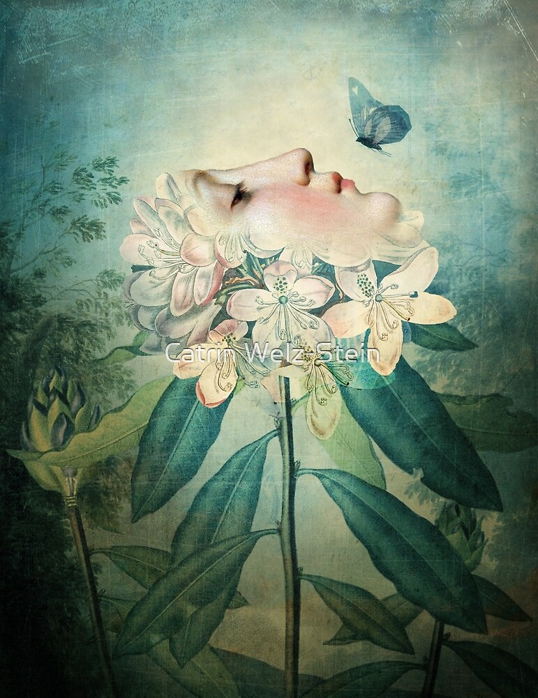 the-kiss-by-catrin-welz-stein-redbubble