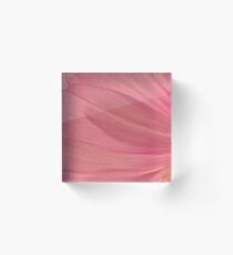 Pink Cosmo Petals Macro Acrylic Block