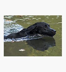 Lab Wake Photographic Print