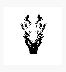 Dragon Skull Photographic Print