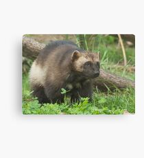 Wolverine ho! Canvas Print