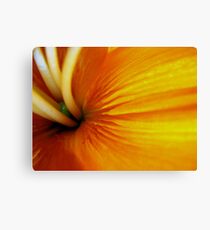 Abstract Canvas Print