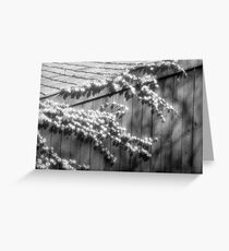 Infrared, 2007 Greeting Card