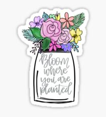 Bloom Where You Are Planted Sticker