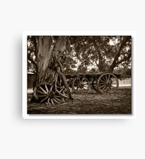 dray Canvas Print