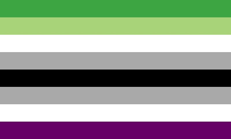 queer. pride flag. lgbtq. asexual. aroace. aromantic. mogai. orientation. l...
