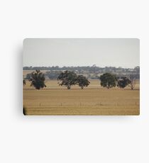 Wheatbelt Canvas Print