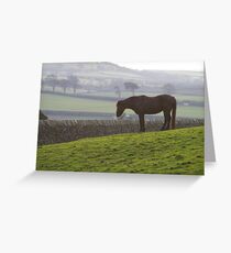 Misty Morning Greeting Card