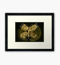 Weather Spirits - 013 - Positioning Mod 1 Framed Print