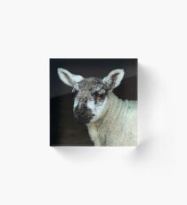 Nobby Acrylic Block