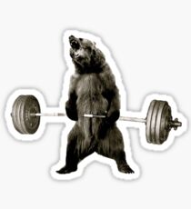 Bear Gains Sticker