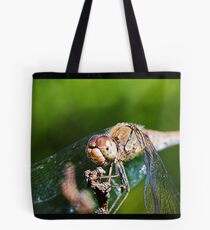 Sympetrum striolatum III Tote Bag