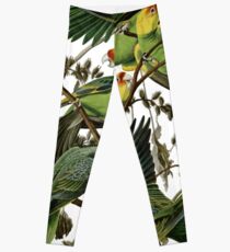 Audubon's Carolina Parakeet Leggings